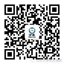 九游体育官方入口